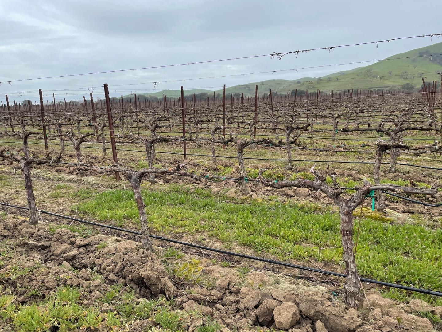 3385 Pacheco Pass Highway, GILROY, California 95020, ,Comm Lots And Land,For Sale,Pacheco Pass Highway,40964160