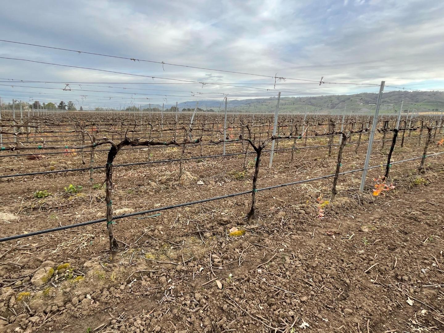 3385 Pacheco Pass Highway, GILROY, California 95020, ,Comm Lots And Land,For Sale,Pacheco Pass Highway,40964160