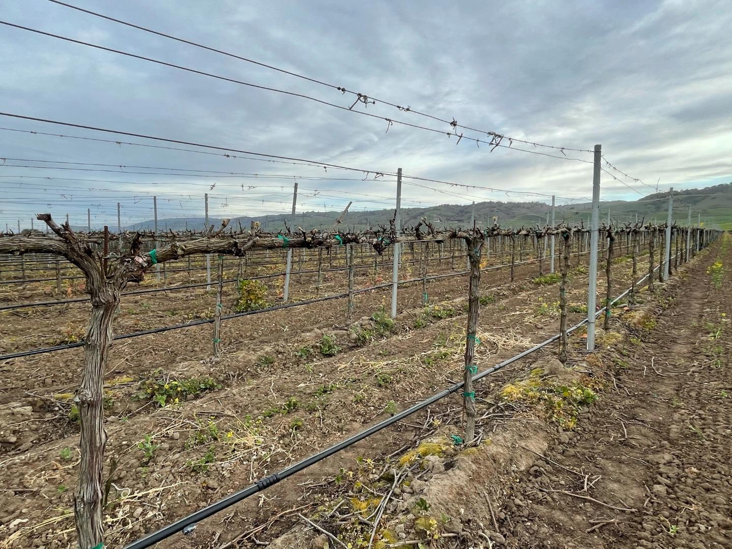 3385 Pacheco Pass Highway, GILROY, California 95020, ,Comm Lots And Land,For Sale,Pacheco Pass Highway,40964160