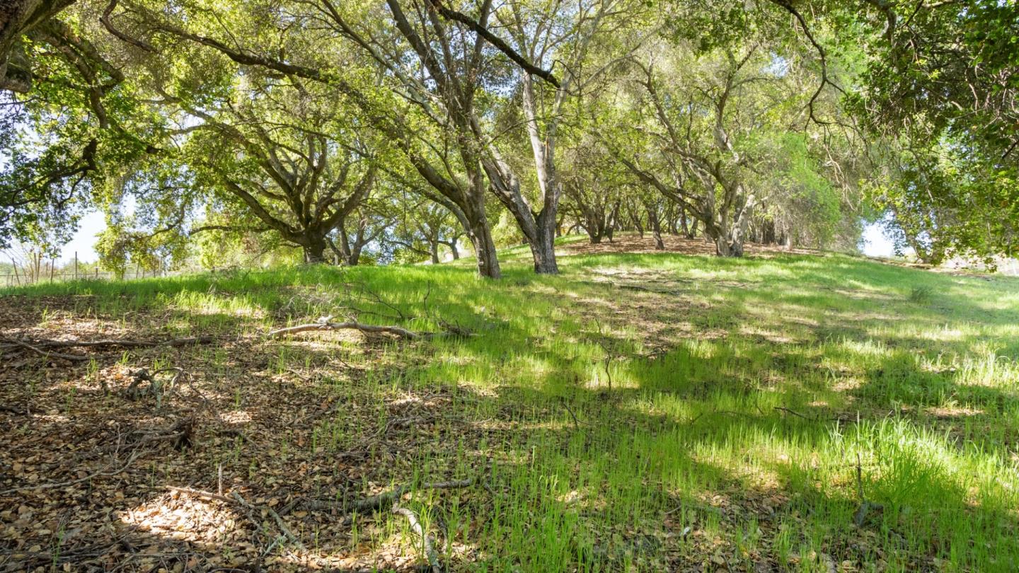1920 Mantelli Drive, GILROY, California 95020, ,Lots And Land,For Sale,Mantelli Drive,40964164
