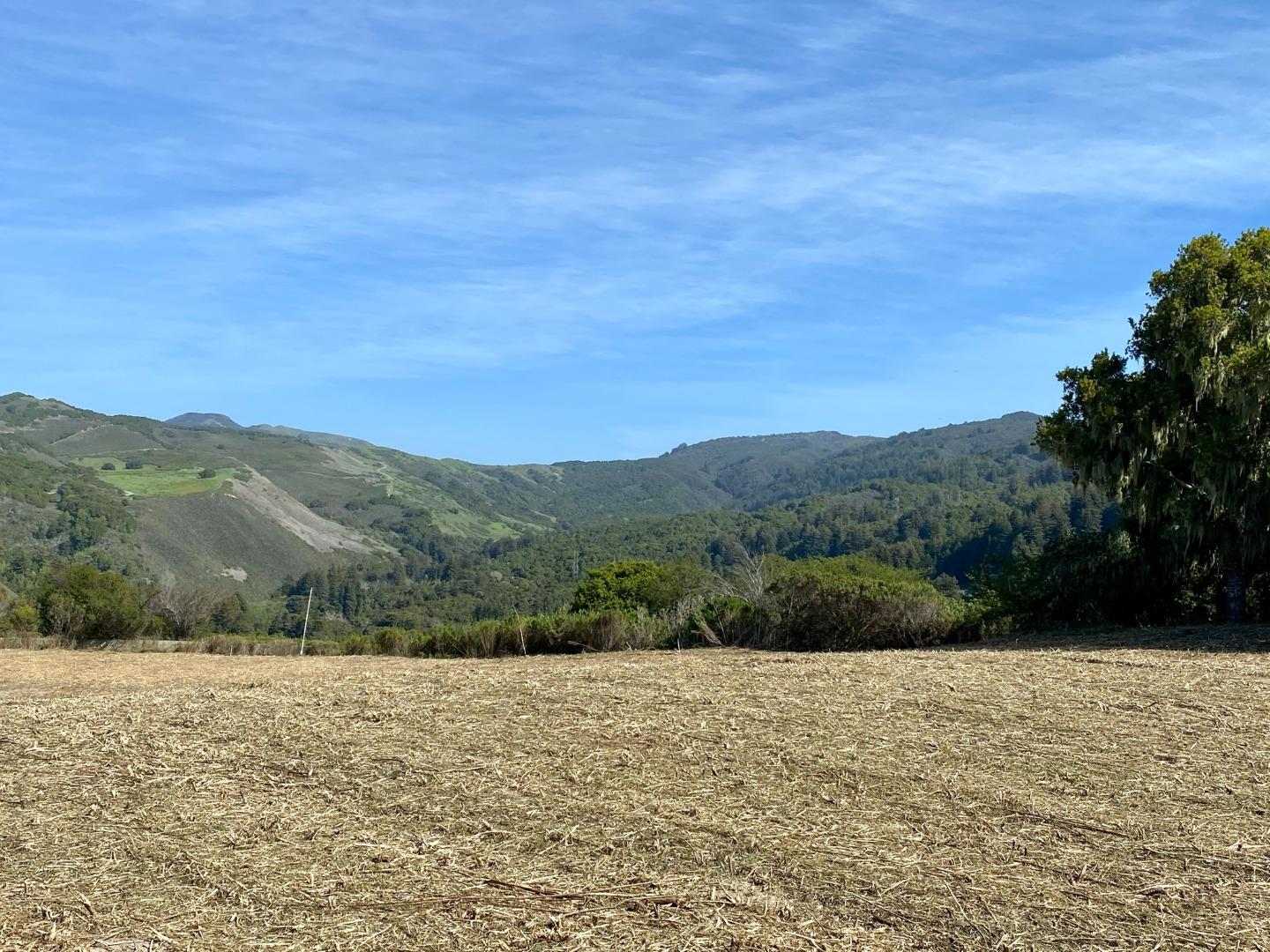 17 Rancho San Carlos Road, CARMEL VALLEY, California 93923, ,Lots And Land,For Sale,Rancho San Carlos Road,40964165