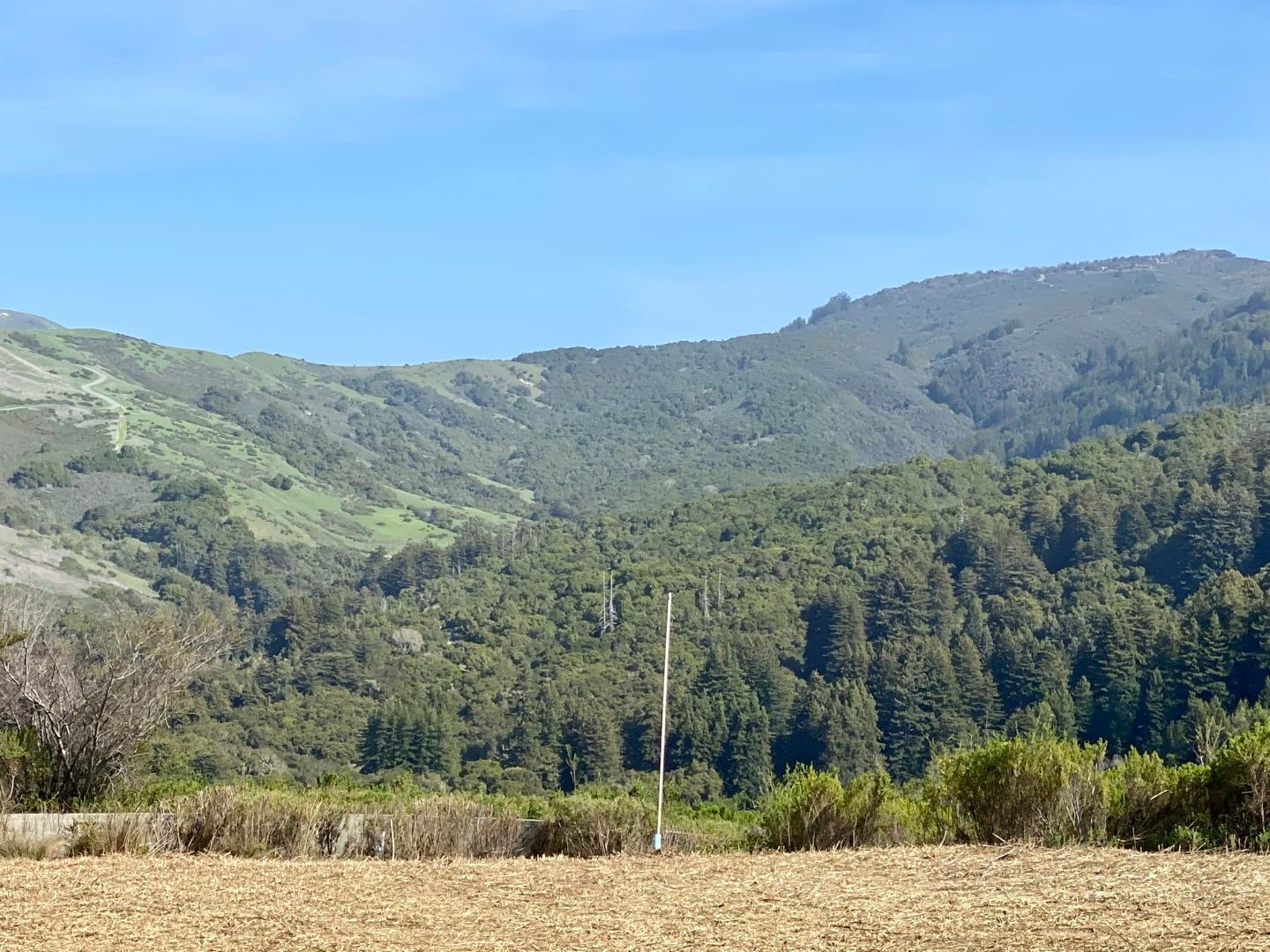 17 Rancho San Carlos Road, CARMEL VALLEY, California 93923, ,Lots And Land,For Sale,Rancho San Carlos Road,40964165