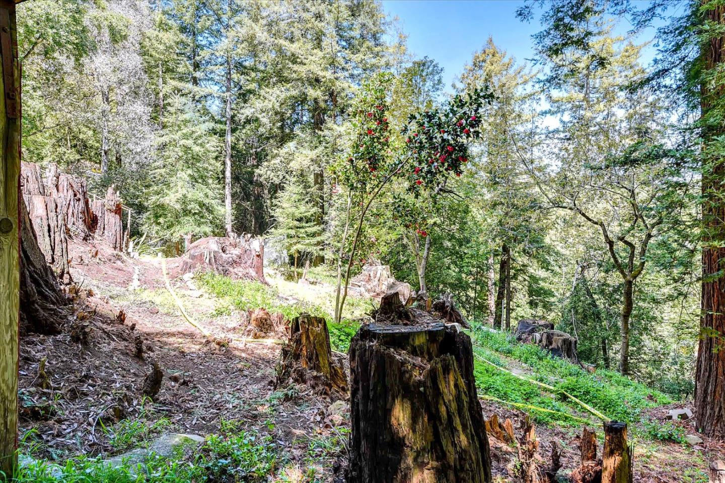 21578 Alma Court, LOS GATOS, California 95033, ,Lots And Land,For Sale,Alma Court,40967491