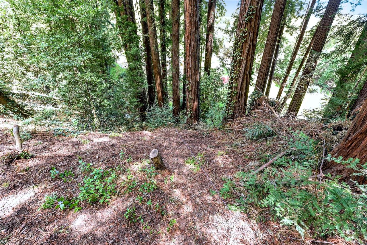 21578 Alma Court, LOS GATOS, California 95033, ,Lots And Land,For Sale,Alma Court,40967491