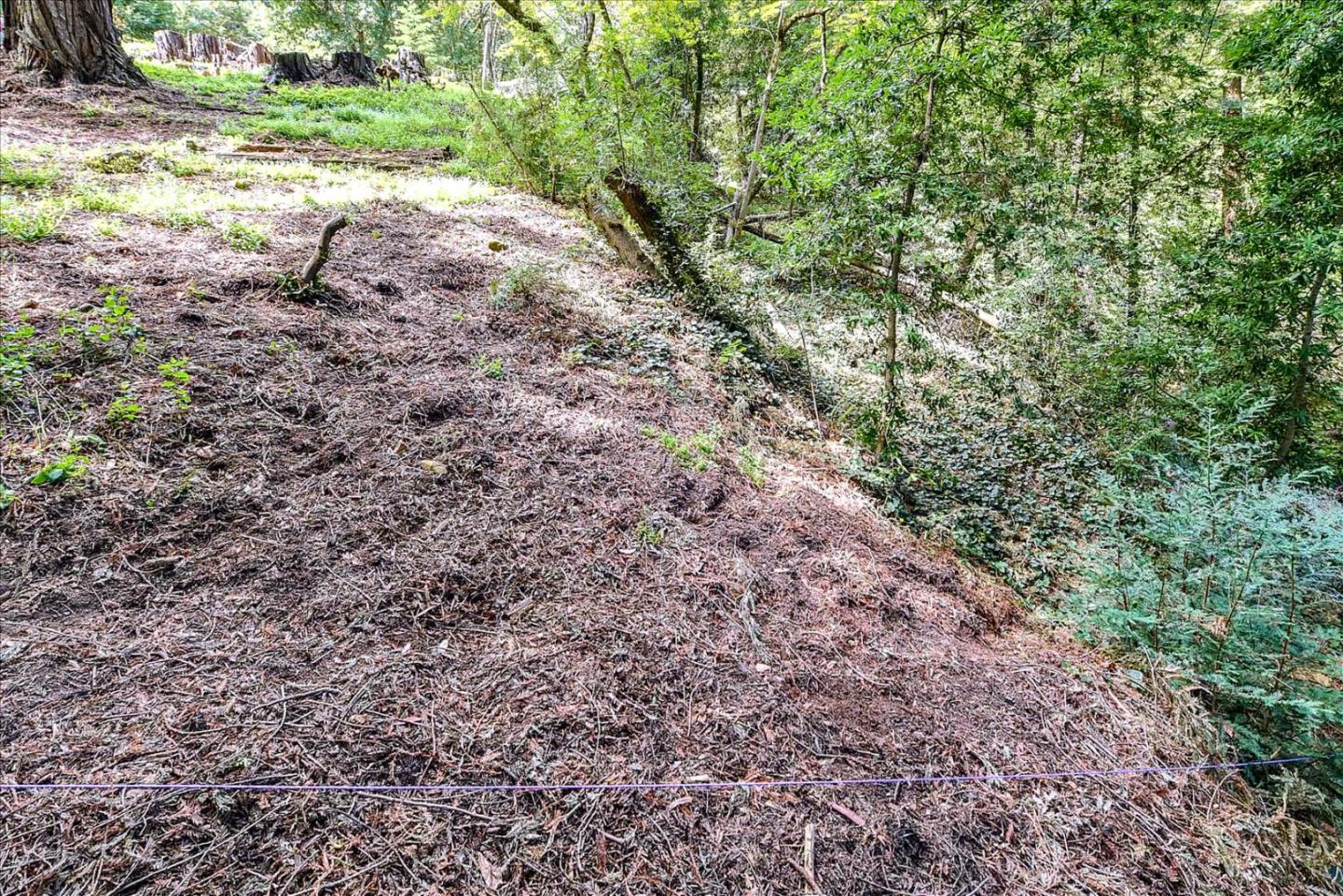 21578 Alma Court, LOS GATOS, California 95033, ,Lots And Land,For Sale,Alma Court,40967491