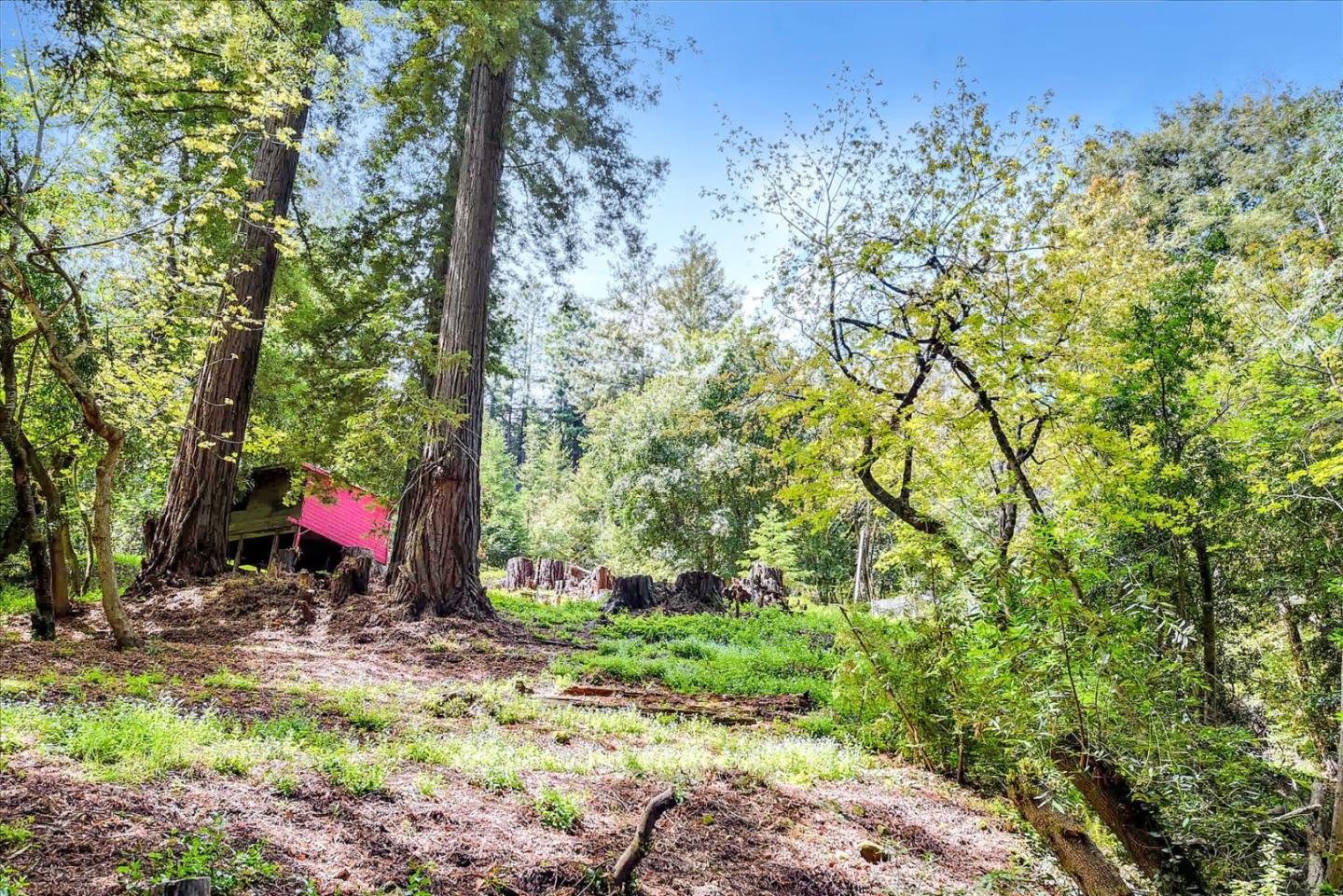 21578 Alma Court, LOS GATOS, California 95033, ,Lots And Land,For Sale,Alma Court,40967491