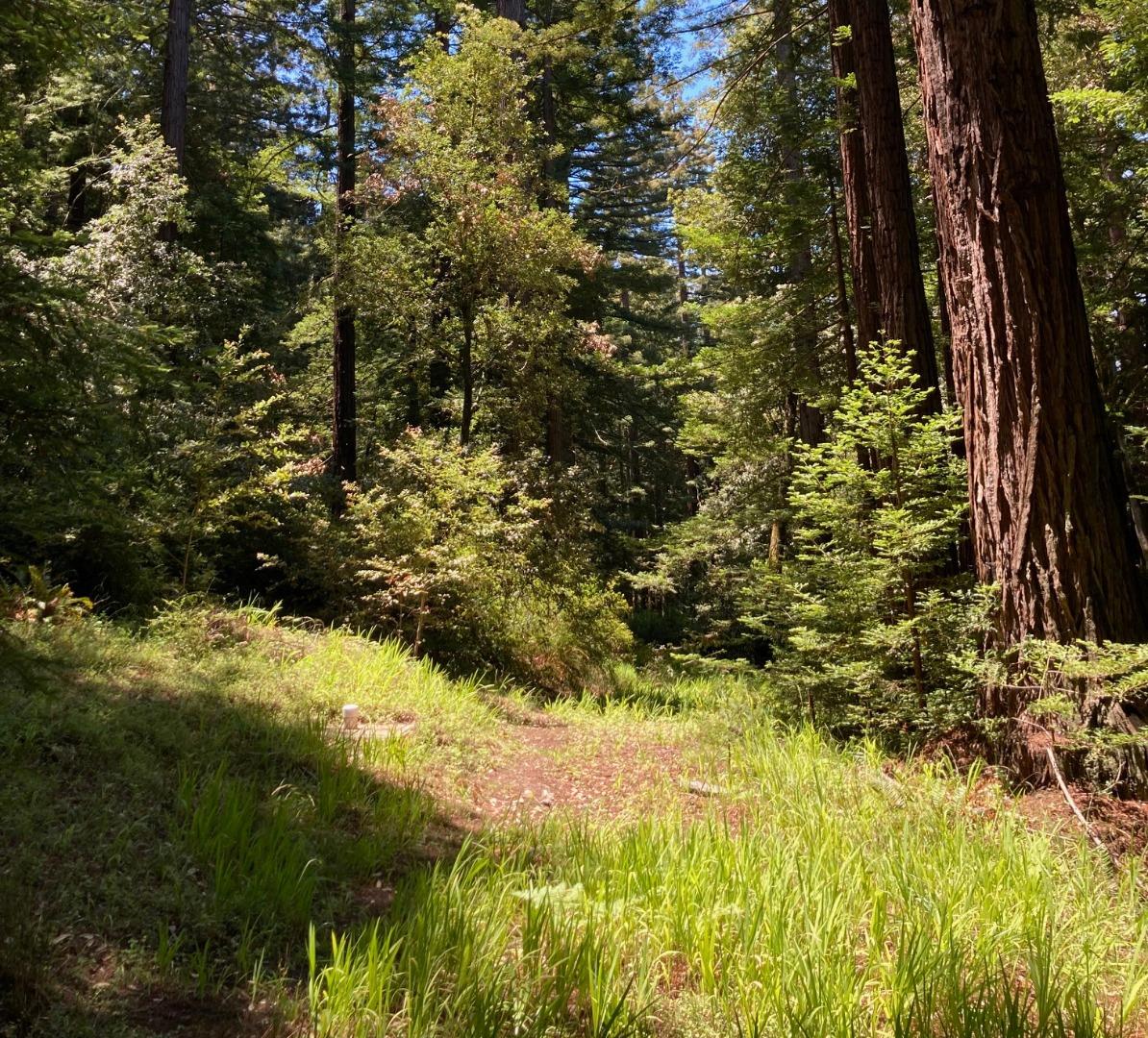 0 Native Sons, WOODSIDE, California 94062, ,Lots And Land,For Sale,Native Sons,40964190