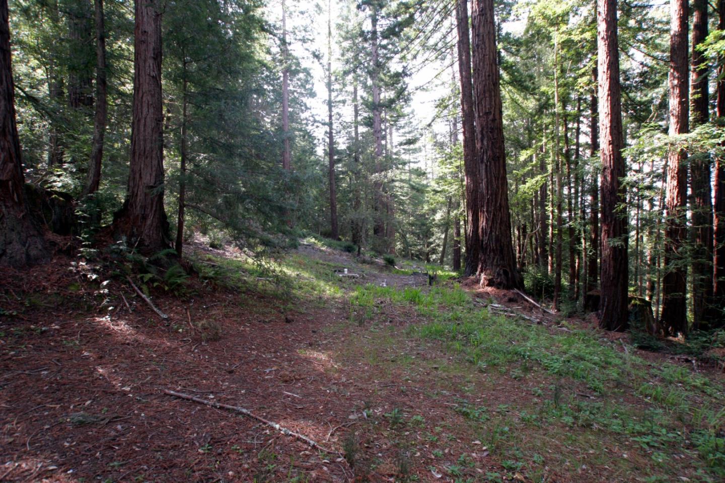 0 Native Sons, WOODSIDE, California 94062, ,Lots And Land,For Sale,Native Sons,40964190
