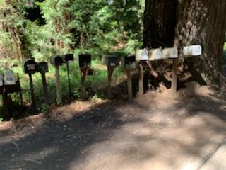 27 Wildwood, BOULDER CREEK, California 95006, ,Lots And Land,For Sale,Wildwood,40964198