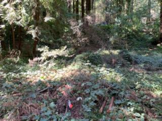 27 Wildwood, BOULDER CREEK, California 95006, ,Lots And Land,For Sale,Wildwood,40964198