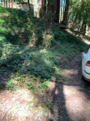 27 Wildwood, BOULDER CREEK, California 95006, ,Lots And Land,For Sale,Wildwood,40964198