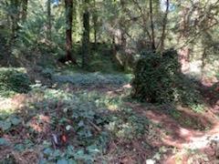 27 Wildwood, BOULDER CREEK, California 95006, ,Lots And Land,For Sale,Wildwood,40964198