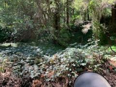 27 Wildwood, BOULDER CREEK, California 95006, ,Lots And Land,For Sale,Wildwood,40964198