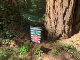 27 Wildwood, BOULDER CREEK, California 95006, ,Lots And Land,For Sale,Wildwood,40964198