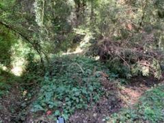 27 Wildwood, BOULDER CREEK, California 95006, ,Lots And Land,For Sale,Wildwood,40964198