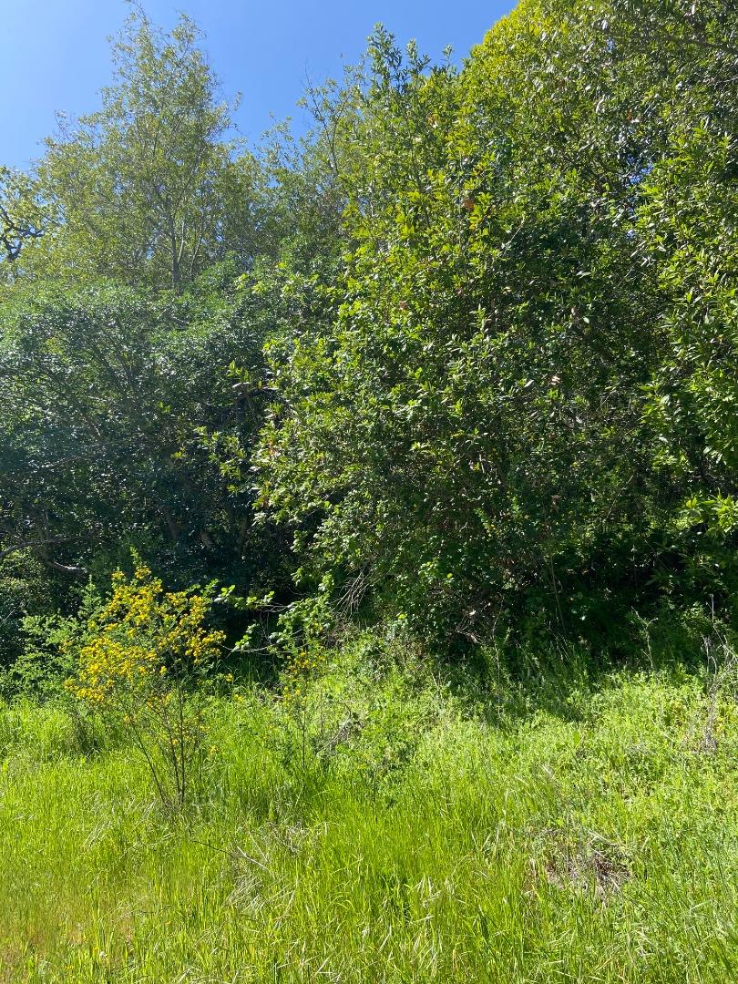 0 Foxwood/Ramona Road, PORTOLA VALLEY, California 94028, ,Lots And Land,For Sale,Foxwood/Ramona Road,40964199