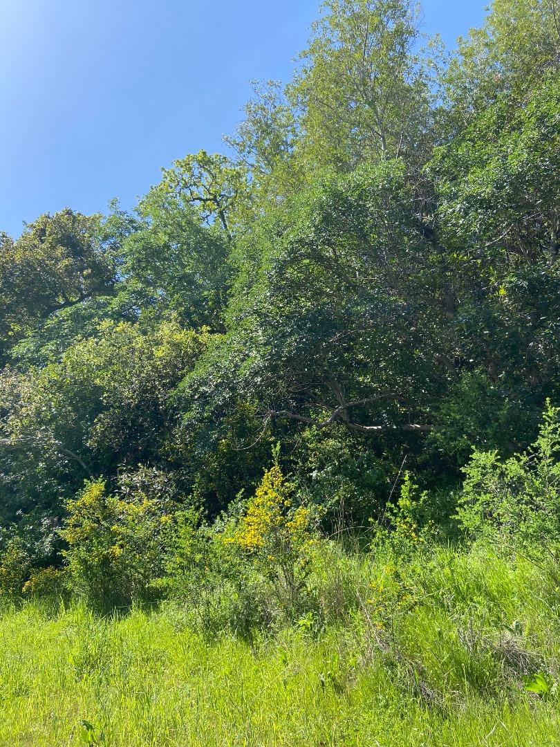 0 Foxwood/Ramona Road, PORTOLA VALLEY, California 94028, ,Lots And Land,For Sale,Foxwood/Ramona Road,40964199