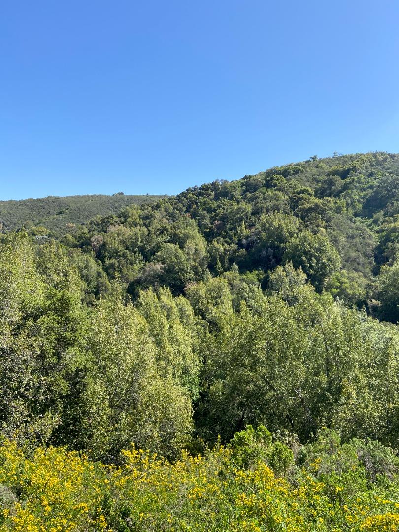 0 Foxwood/Ramona Road, PORTOLA VALLEY, California 94028, ,Lots And Land,For Sale,Foxwood/Ramona Road,40964199