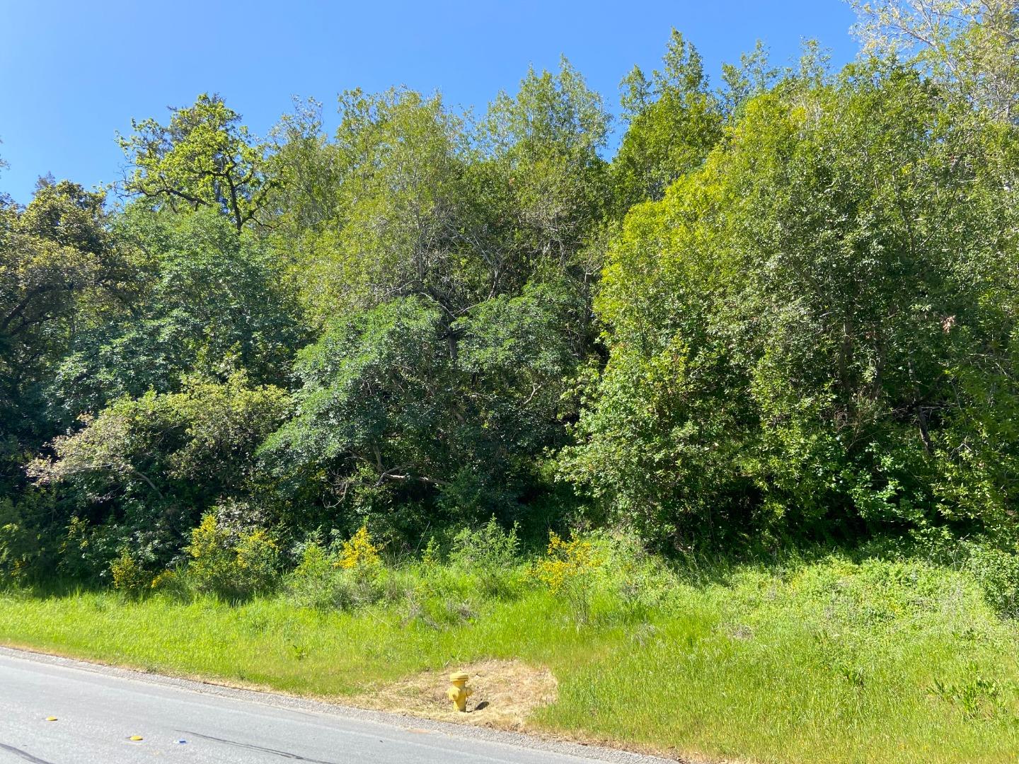 0 Foxwood/Ramona Road, PORTOLA VALLEY, California 94028, ,Lots And Land,For Sale,Foxwood/Ramona Road,40964199