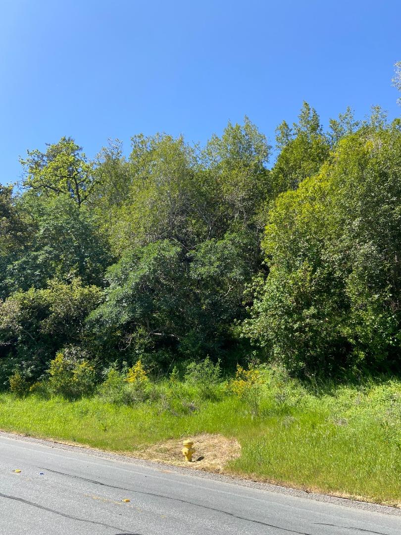 0 Foxwood/Ramona Road, PORTOLA VALLEY, California 94028, ,Lots And Land,For Sale,Foxwood/Ramona Road,40964199