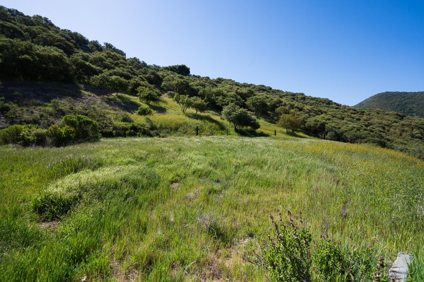 45310 Vista Place, KING CITY, California 93930, ,Lots And Land,For Sale,Vista Place,40964206
