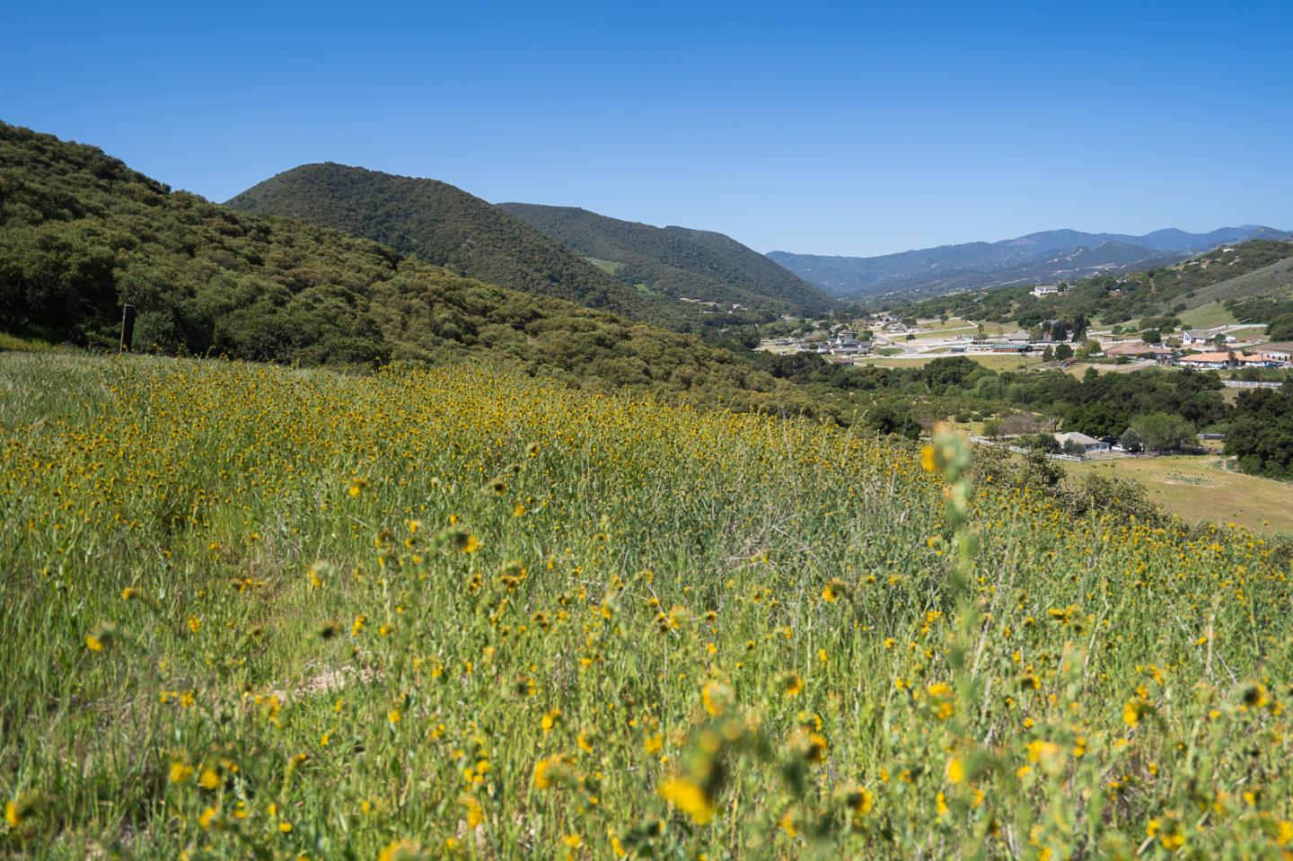 45310 Vista Place, KING CITY, California 93930, ,Lots And Land,For Sale,Vista Place,40964206