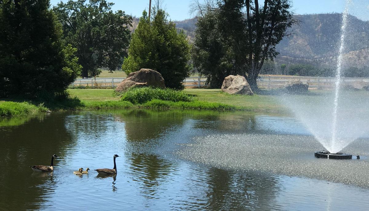 18202 Hidden Valley Road, OTHER - SEE REMARKS, California 95467, ,Lots And Land,For Sale,Hidden Valley Road,40965686