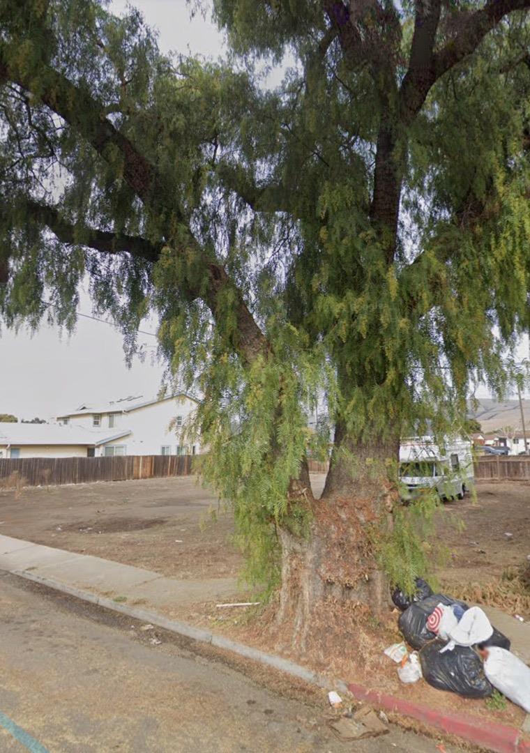 33852 11th, UNION CITY, California 94587, ,Lots And Land,For Sale,11th,40964209