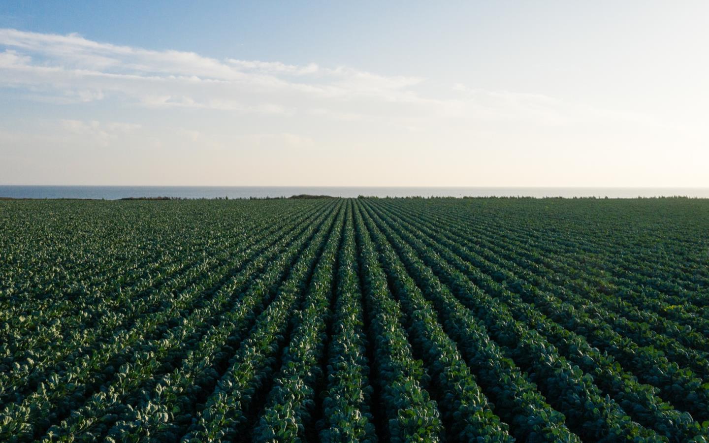 451 Coast Road, SANTA CRUZ, California 95060, ,Lots And Land,For Sale,Coast Road,40968409