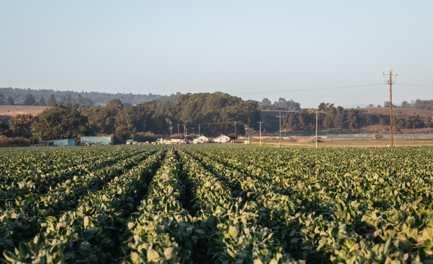 451 Coast Road, SANTA CRUZ, California 95060, ,Lots And Land,For Sale,Coast Road,40968409