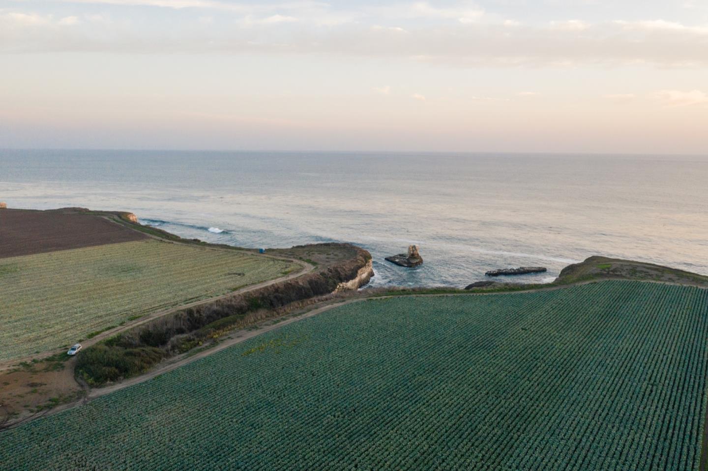 451 Coast Road, SANTA CRUZ, California 95060, ,Lots And Land,For Sale,Coast Road,40968409