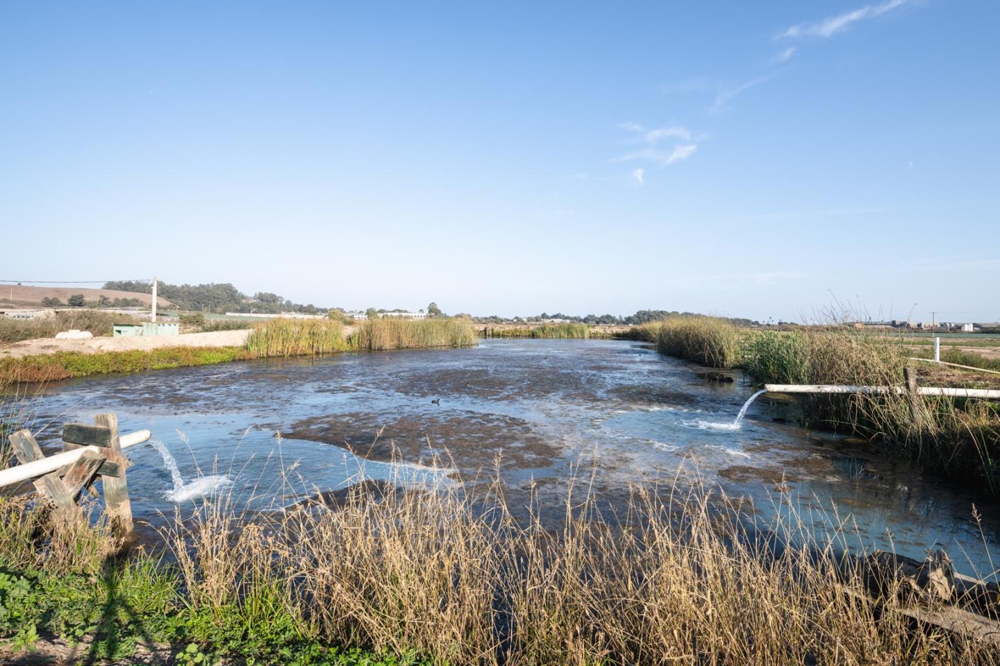 451 Coast Road, SANTA CRUZ, California 95060, ,Lots And Land,For Sale,Coast Road,40968409