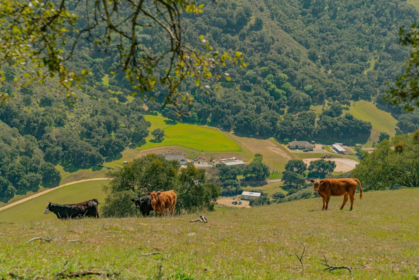 34021 Chualar Canyon Road, CHUALAR, California 93925, ,Lots And Land,For Sale,Chualar Canyon Road,40964212
