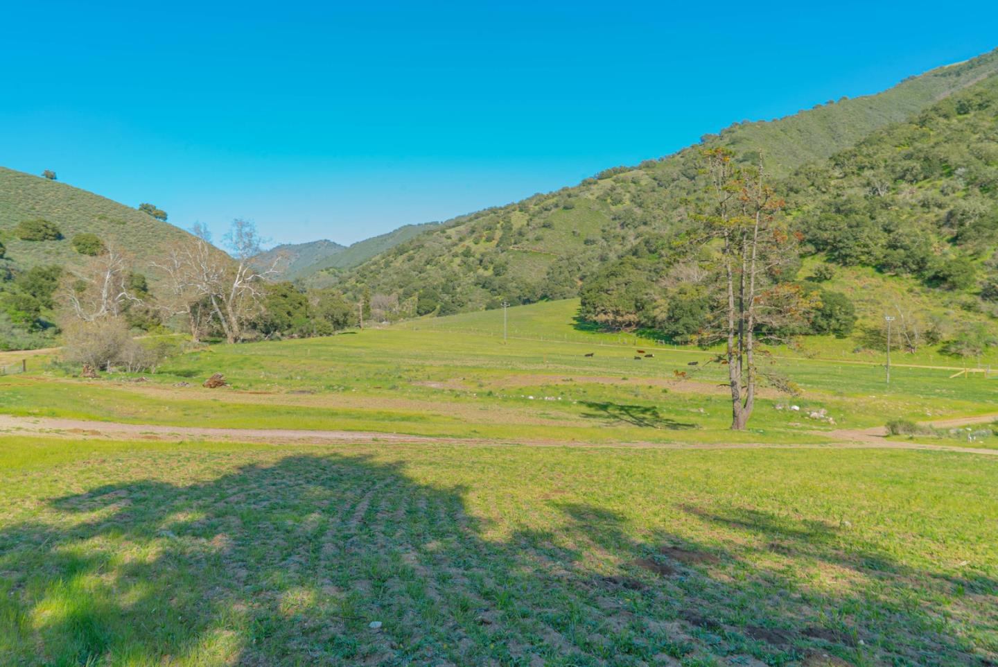 34021 Chualar Canyon Road, CHUALAR, California 93925, ,Lots And Land,For Sale,Chualar Canyon Road,40964212