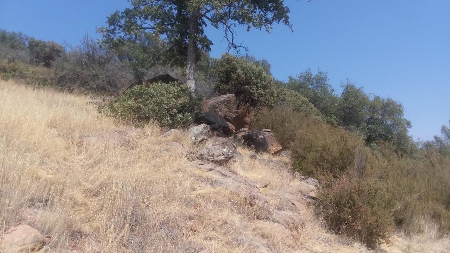 2153 Roan Road, ANGELS CAMP, California 95222, ,Lots And Land,For Sale,Roan Road,40964221