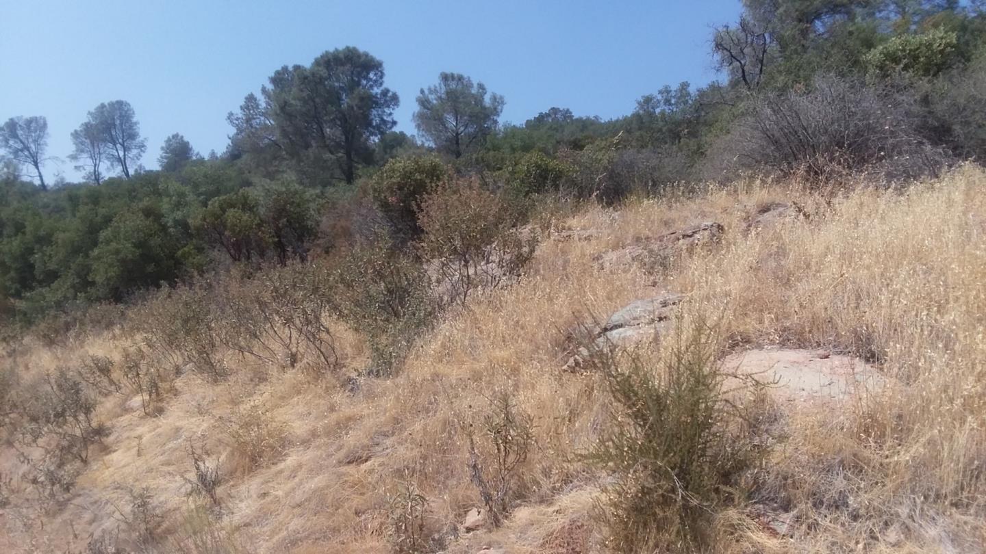 2153 Roan Road, ANGELS CAMP, California 95222, ,Lots And Land,For Sale,Roan Road,40964221