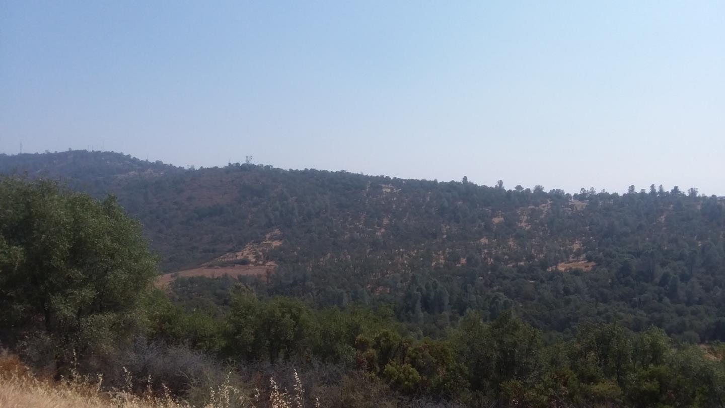 2153 Roan Road, ANGELS CAMP, California 95222, ,Lots And Land,For Sale,Roan Road,40964221
