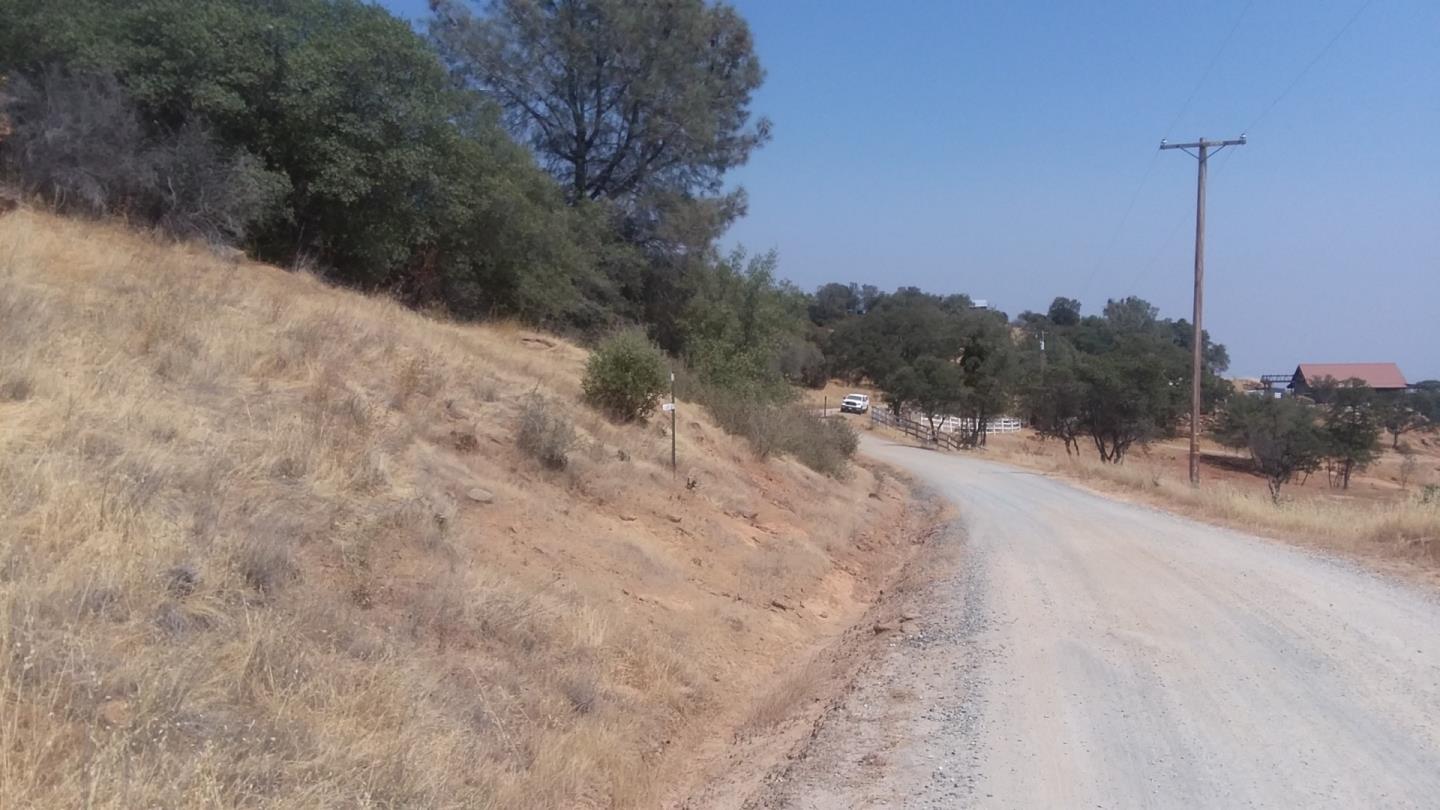 2153 Roan Road, ANGELS CAMP, California 95222, ,Lots And Land,For Sale,Roan Road,40964221