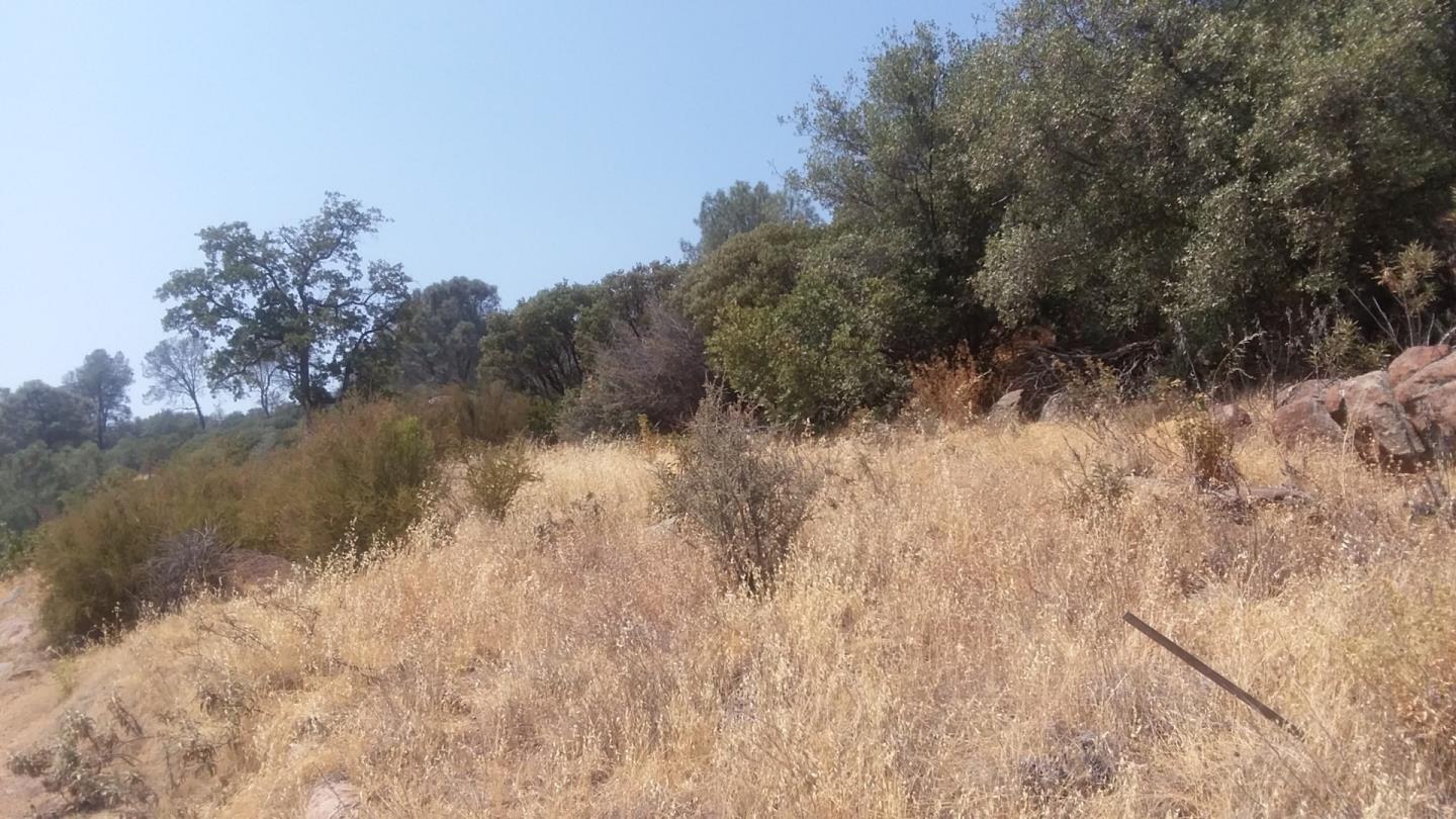 2153 Roan Road, ANGELS CAMP, California 95222, ,Lots And Land,For Sale,Roan Road,40964221