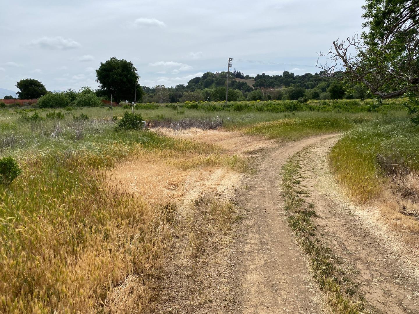 0 Middle Avenue, MORGAN HILL, California 95037, ,Lots And Land,For Sale,Middle Avenue,40964237