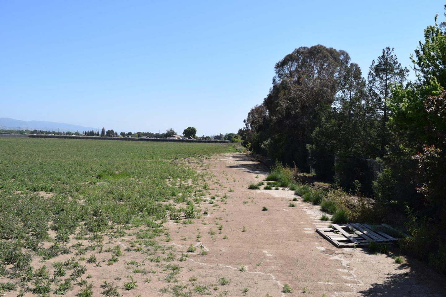 00 Scheller Avenue, MORGAN HILL, California 95037, ,Lots And Land,For Sale,Scheller Avenue,40964255
