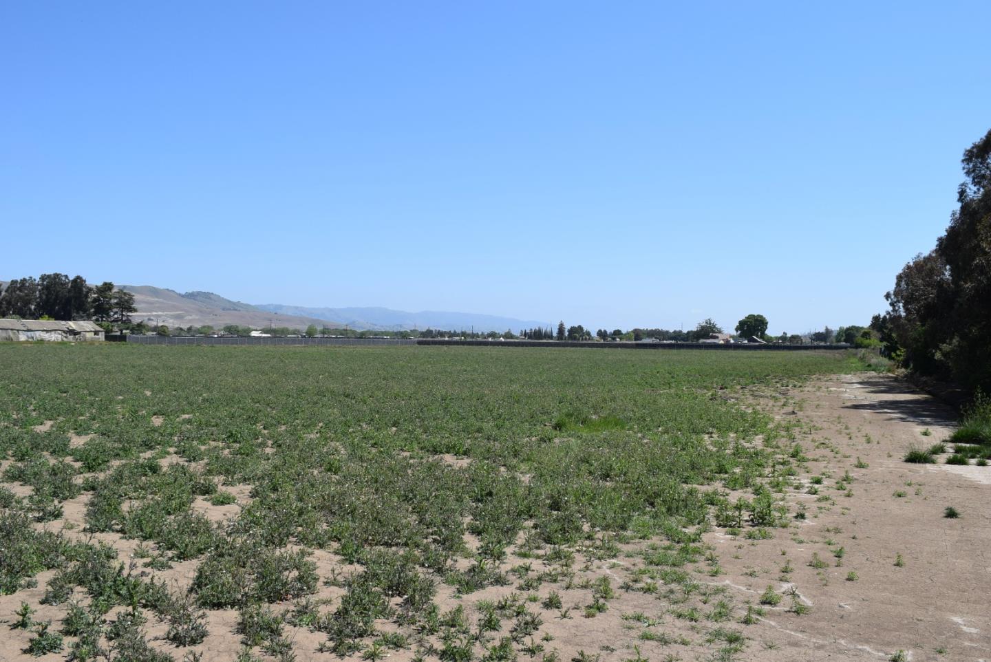 00 Scheller Avenue, MORGAN HILL, California 95037, ,Lots And Land,For Sale,Scheller Avenue,40964255