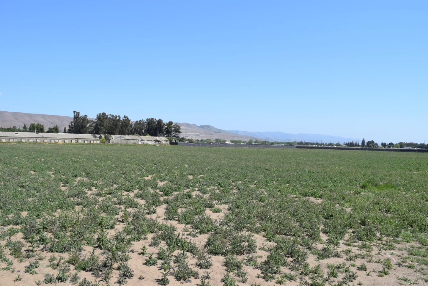 00 Scheller Avenue, MORGAN HILL, California 95037, ,Lots And Land,For Sale,Scheller Avenue,40964255