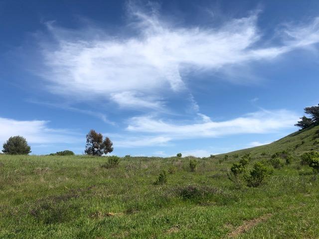 489 VISTA RIDGE Drive, MILPITAS, California 95035, ,Lots And Land,For Sale,VISTA RIDGE Drive,40964289