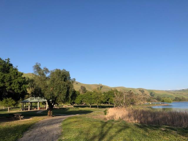 489 VISTA RIDGE Drive, MILPITAS, California 95035, ,Lots And Land,For Sale,VISTA RIDGE Drive,40964289