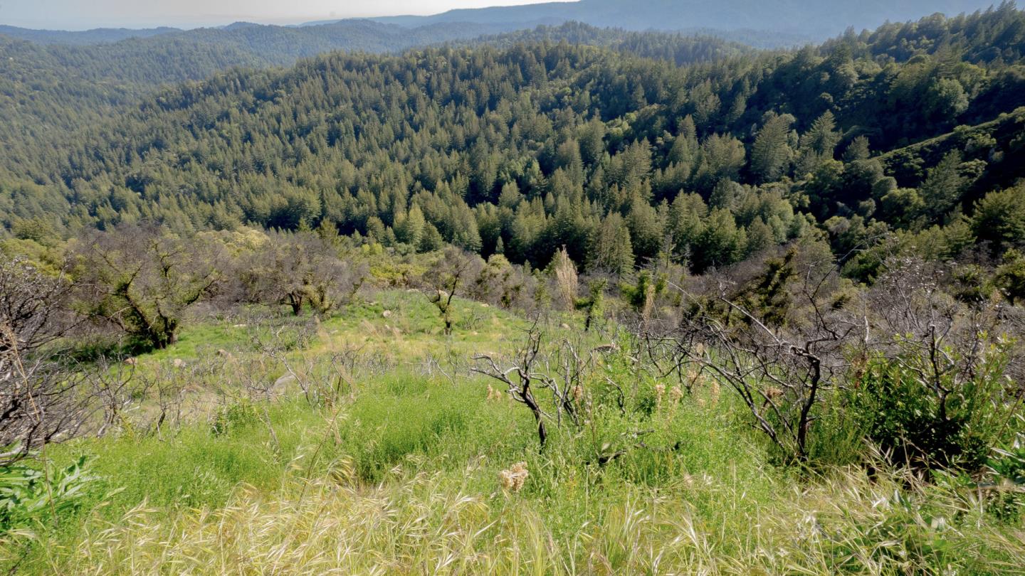0 Buckhorn Ridge, BOULDER CREEK, California 95006, ,Lots And Land,For Sale,Buckhorn Ridge,40964266