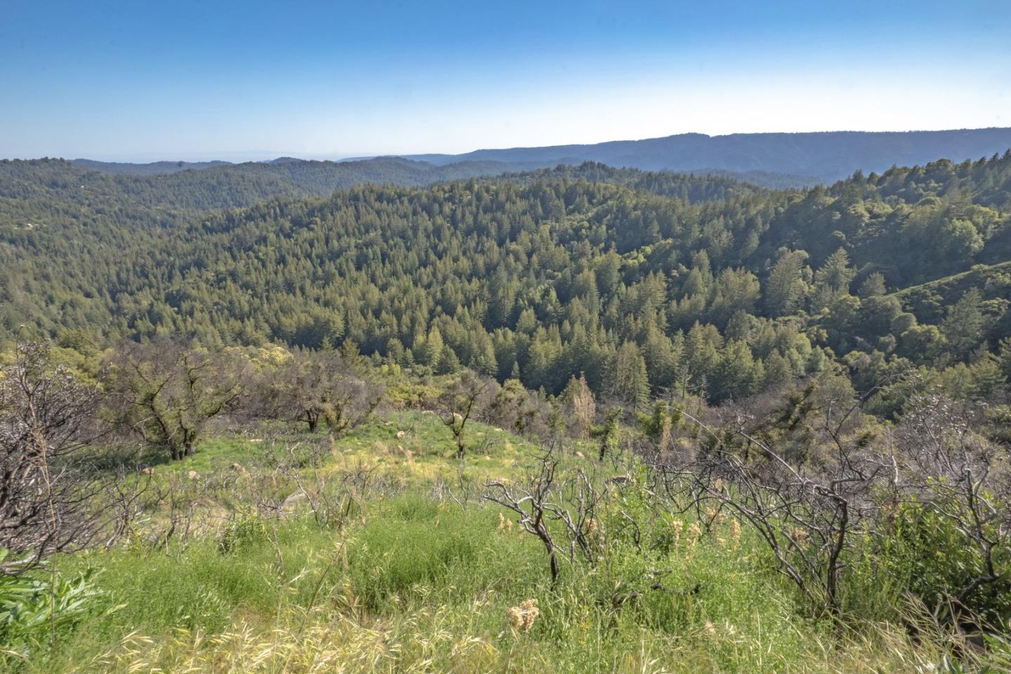 0 Buckhorn Ridge, BOULDER CREEK, California 95006, ,Lots And Land,For Sale,Buckhorn Ridge,40964266