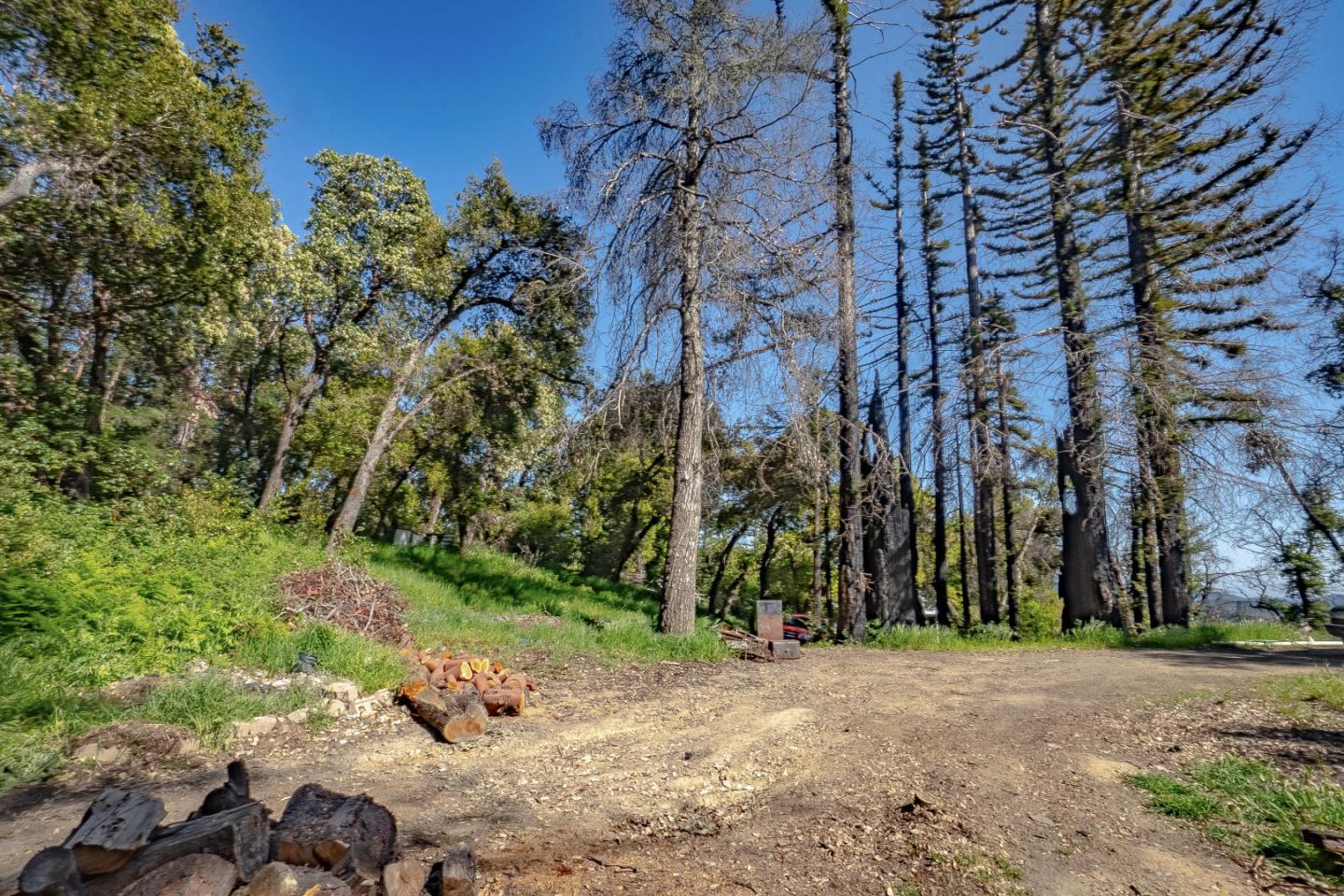 0 Buckhorn Ridge, BOULDER CREEK, California 95006, ,Lots And Land,For Sale,Buckhorn Ridge,40964266