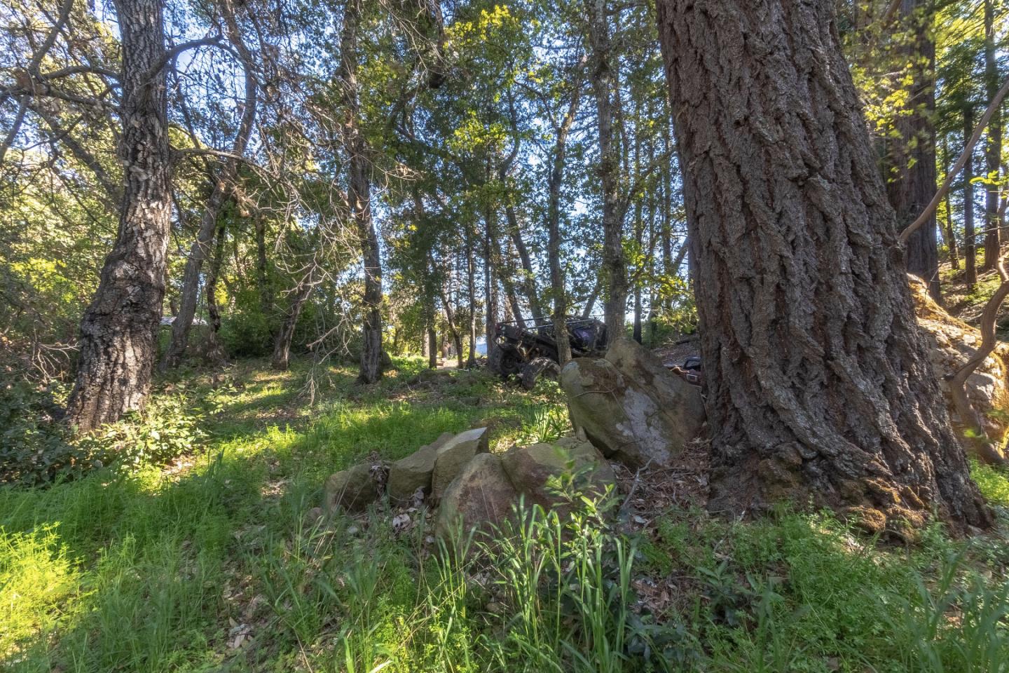 0 Buckhorn Ridge, BOULDER CREEK, California 95006, ,Lots And Land,For Sale,Buckhorn Ridge,40964266