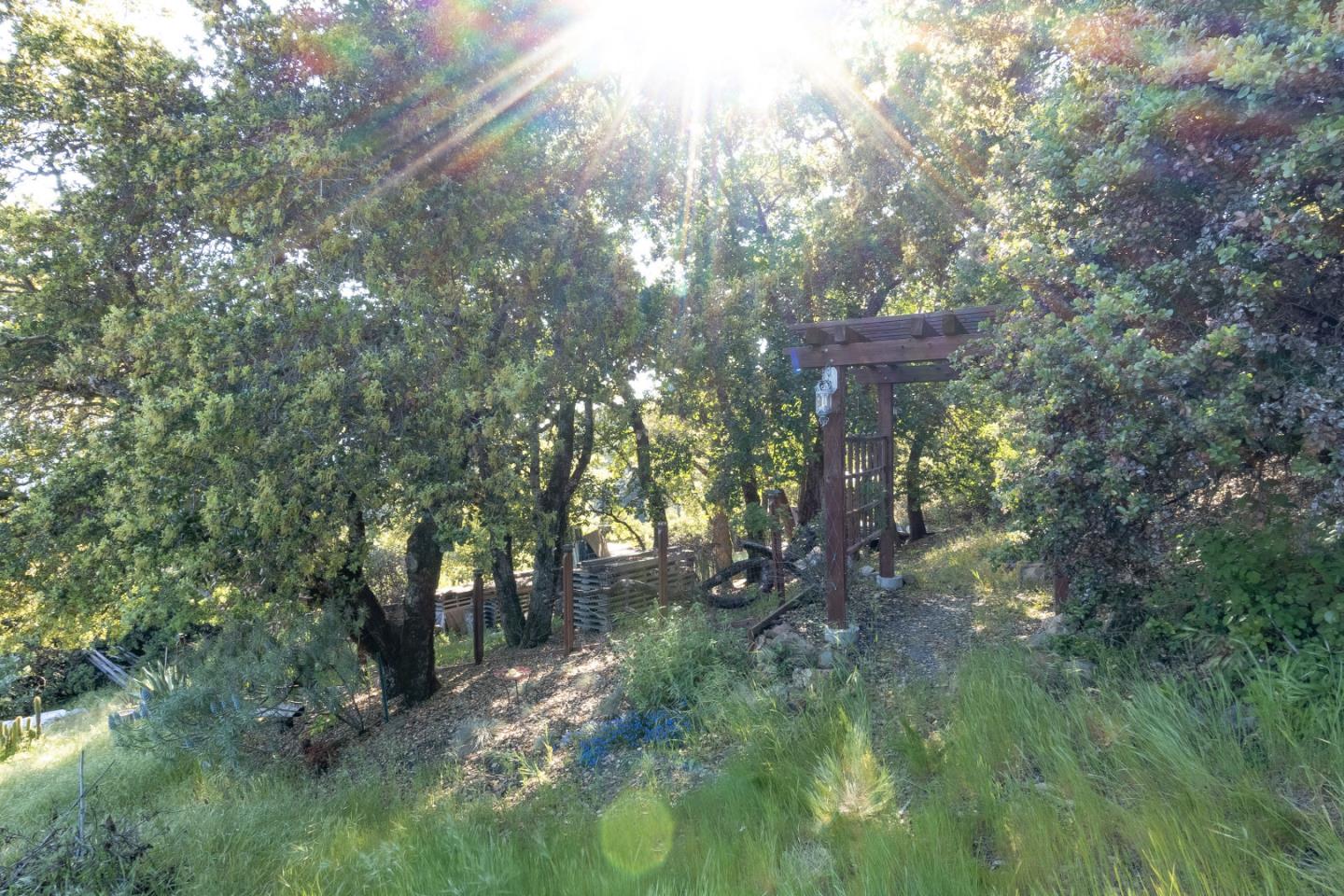 0 Buckhorn Ridge, BOULDER CREEK, California 95006, ,Lots And Land,For Sale,Buckhorn Ridge,40964266
